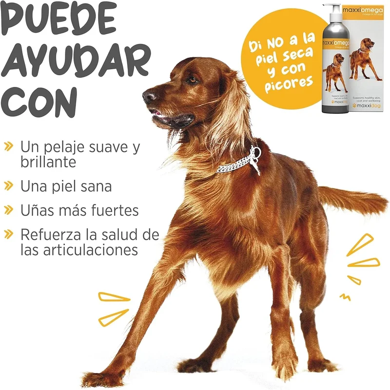 maxxiomega Suplemento em óleo para cães, com bomba de dosagem para fácil administração, ómega 3, 6, 9 e vitaminas A, D, E e biotina | para pele saudável e pêlo brilhante (296 ml)