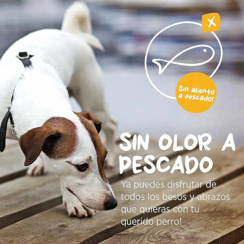 maxxiomega Suplemento em óleo para cães, com bomba de dosagem para fácil administração, ómega 3, 6, 9 e vitaminas A, D, E e biotina | para pele saudável e pêlo brilhante (296 ml)