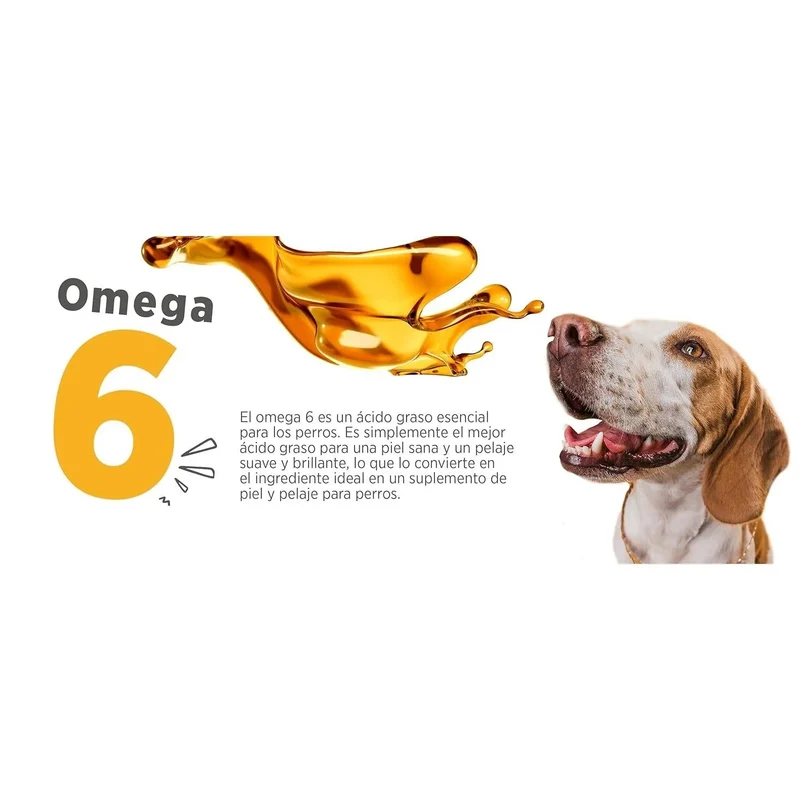 maxxiomega Suplemento em óleo para cães, com bomba de dosagem para fácil administração, ómega 3, 6, 9 e vitaminas A, D, E e biotina | para pele saudável e pêlo brilhante (296 ml)