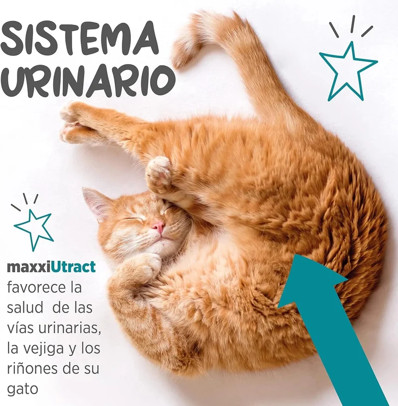 maxxiUtract Suplemento urinário e vesical para gatos - Ajuda à saúde do sistema urinário, controlo da bexiga e recorrência de ITU - com mirtios (em pó: 90 gramas)