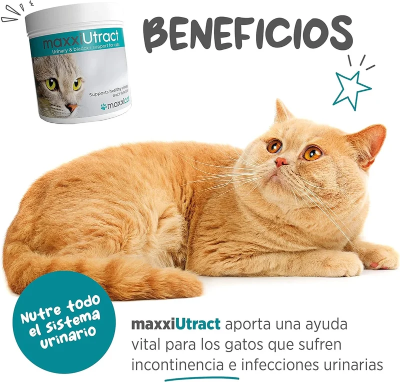 maxxiUtract Suplemento urinário e vesical para gatos - Ajuda à saúde do sistema urinário, controlo da bexiga e recorrência de ITU - com mirtios (em pó: 90 gramas)