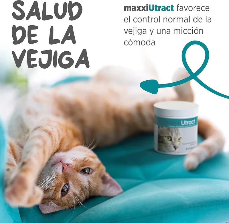 maxxiUtract Suplemento urinário e vesical para gatos - Ajuda à saúde do sistema urinário, controlo da bexiga e recorrência de ITU - com mirtios (em pó: 90 gramas)