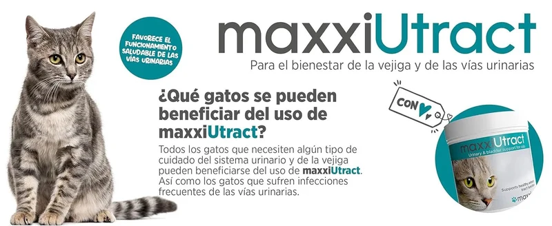 maxxiUtract Suplemento urinário e vesical para gatos - Ajuda à saúde do sistema urinário, controlo da bexiga e recorrência de ITU - com mirtios (em pó: 90 gramas)