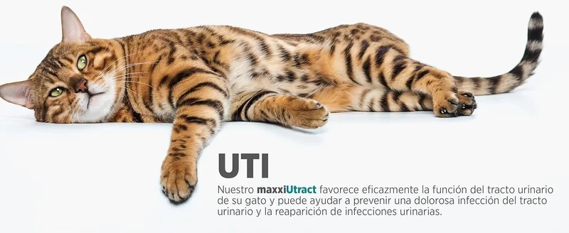 maxxiUtract Suplemento urinário e vesical para gatos - Ajuda à saúde do sistema urinário, controlo da bexiga e recorrência de ITU - com mirtios (em pó: 90 gramas)