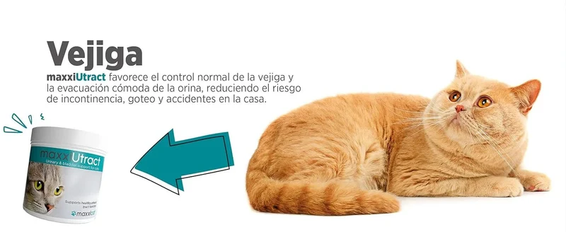 maxxiUtract Suplemento urinário e vesical para gatos - Ajuda à saúde do sistema urinário, controlo da bexiga e recorrência de ITU - com mirtios (em pó: 90 gramas)