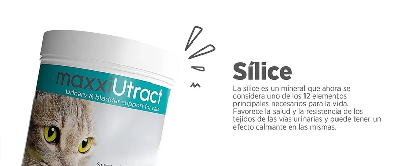 maxxiUtract Suplemento urinário e vesical para gatos - Ajuda à saúde do sistema urinário, controlo da bexiga e recorrência de ITU - com mirtios (em pó: 90 gramas)