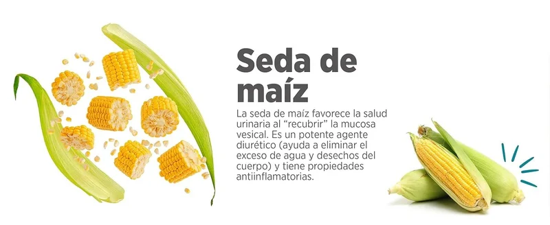 maxxiUtract Suplemento urinário e vesical para gatos - Ajuda à saúde do sistema urinário, controlo da bexiga e recorrência de ITU - com mirtios (em pó: 90 gramas)
