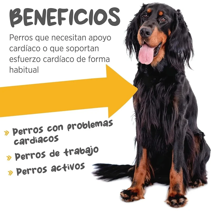 maxxicardio Suplemento cardiaco e cardiovascular para cães (em pó: 150 gramas)