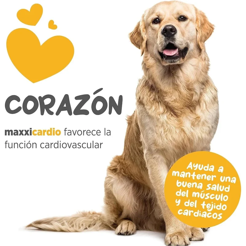 maxxicardio Suplemento cardiaco e cardiovascular para cães (em pó: 150 gramas)