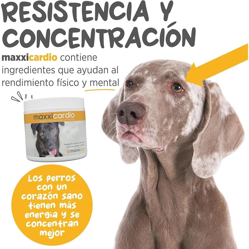 maxxicardio Suplemento cardiaco e cardiovascular para cães (em pó: 150 gramas)