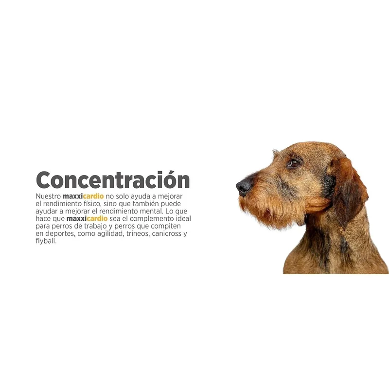 maxxicardio Suplemento cardiaco e cardiovascular para cães (em pó: 150 gramas)