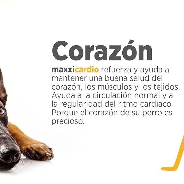 maxxicardio Suplemento cardiaco e cardiovascular para cães (em pó: 150 gramas)