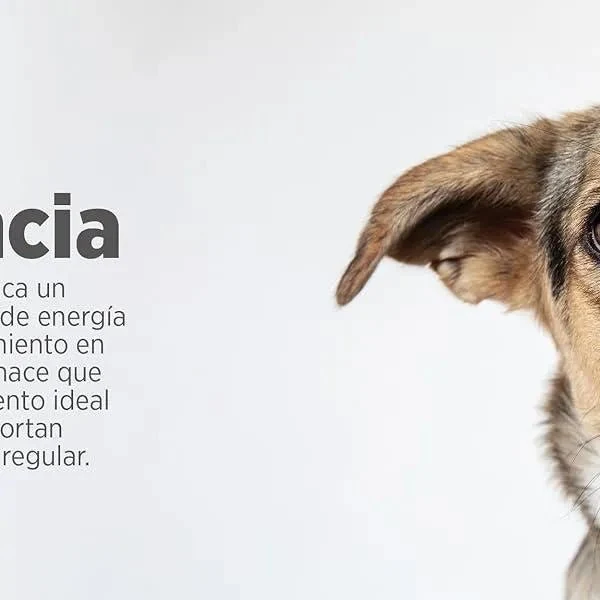 maxxicardio Suplemento cardiaco e cardiovascular para cães (em pó: 150 gramas)