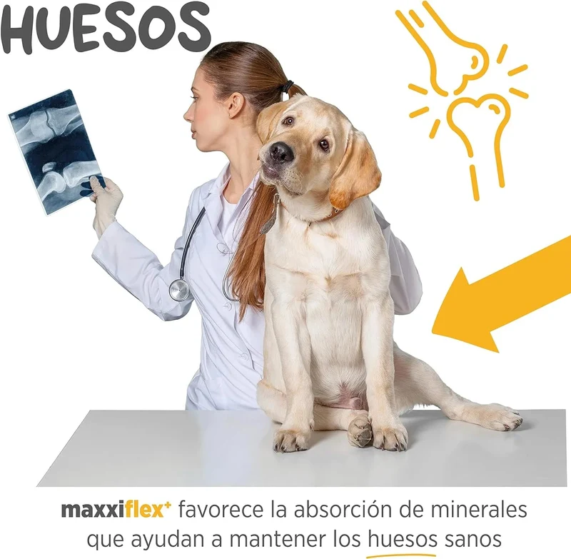 maxxiflex+ Suplemento avançado para as articulações do cão - glucosamina, condroitina, MSM, ácido hialurónico , garra do , bromelina, açafrão