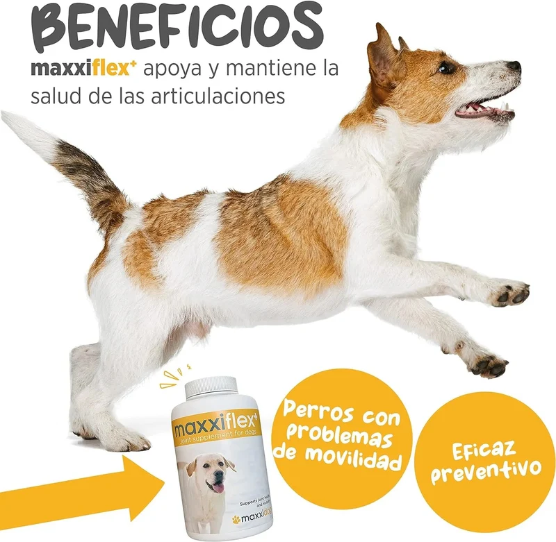 maxxiflex+ Suplemento avançado para as articulações do cão - glucosamina, condroitina, MSM, ácido hialurónico , garra do , bromelina, açafrão