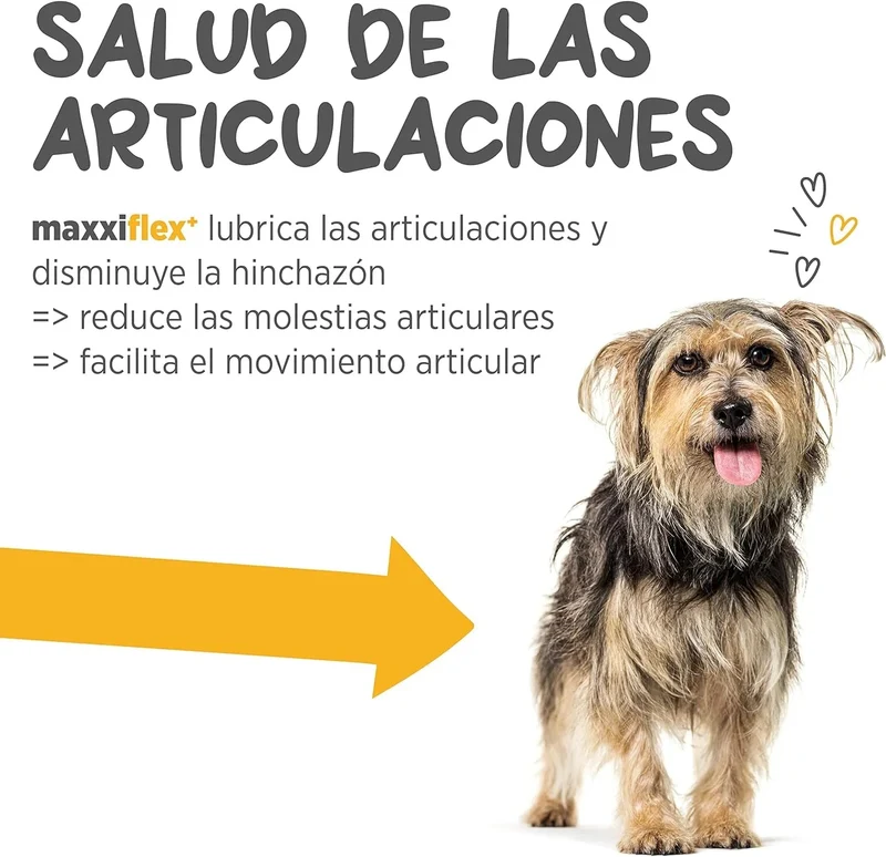 maxxiflex+ Suplemento avançado para as articulações do cão - glucosamina, condroitina, MSM, ácido hialurónico , garra do , bromelina, açafrão