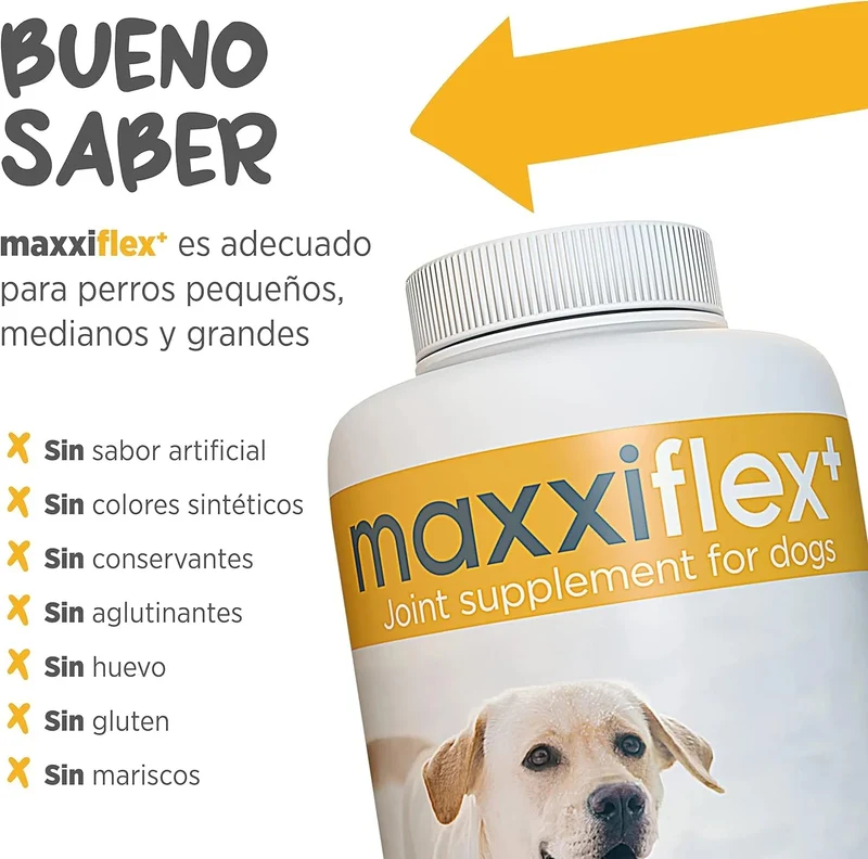 maxxiflex+ Suplemento avançado para as articulações do cão - glucosamina, condroitina, MSM, ácido hialurónico , garra do , bromelina, açafrão