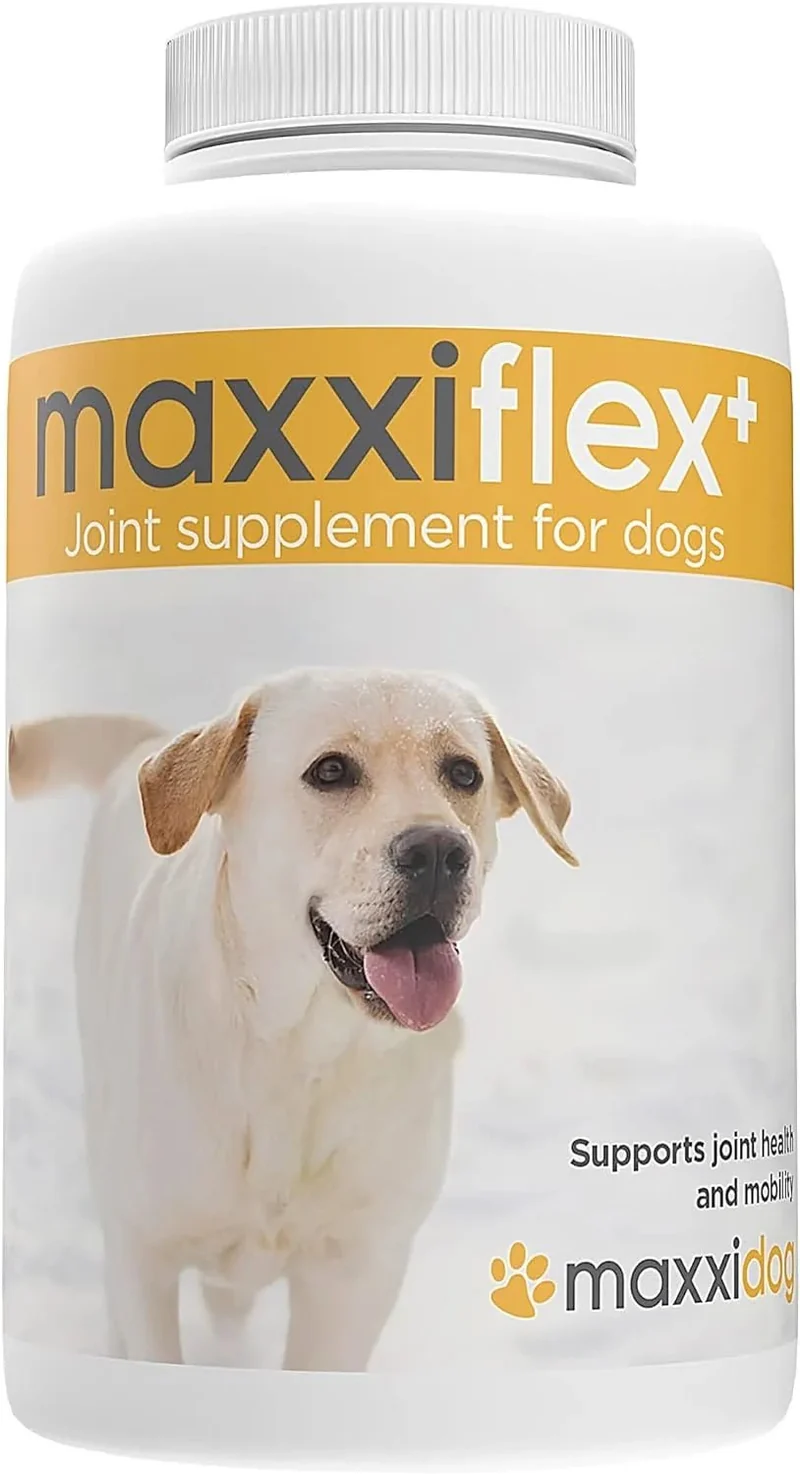 maxxiflex+ Suplemento avançado para as articulações do cão - glucosamina, condroitina, MSM, ácido hialurónico , garra do , bromelina, açafrão