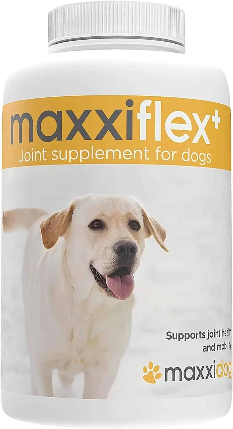 maxxiflex+ Suplemento avançado para as articulações do cão - glucosamina, condroitina, MSM, ácido hialurónico , garra do , bromelina, açafrão
