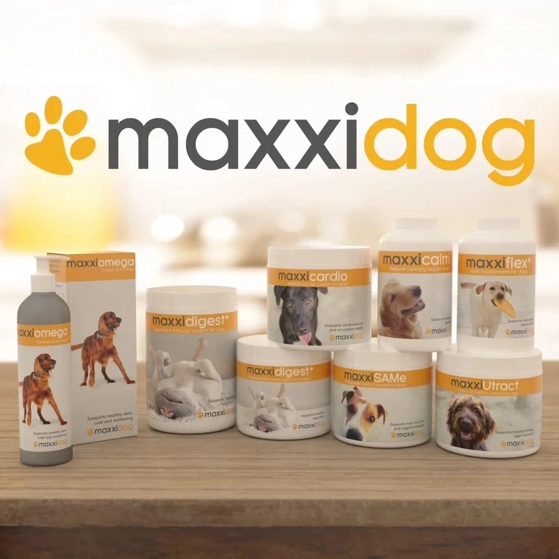 maxxiflex+ Suplemento avançado para as articulações do cão - glucosamina, condroitina, MSM, ácido hialurónico , garra do , bromelina, açafrão