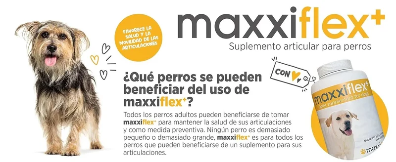 maxxiflex+ Suplemento avançado para as articulações do cão - glucosamina, condroitina, MSM, ácido hialurónico , garra do , bromelina, açafrão