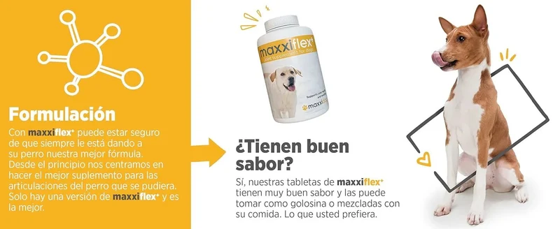 maxxiflex+ Suplemento avançado para as articulações do cão - glucosamina, condroitina, MSM, ácido hialurónico , garra do , bromelina, açafrão