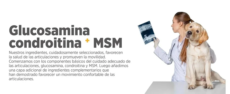 maxxiflex+ Suplemento avançado para as articulações do cão - glucosamina, condroitina, MSM, ácido hialurónico , garra do , bromelina, açafrão