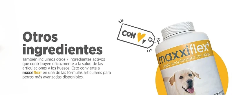 maxxiflex+ Suplemento avançado para as articulações do cão - glucosamina, condroitina, MSM, ácido hialurónico , garra do , bromelina, açafrão