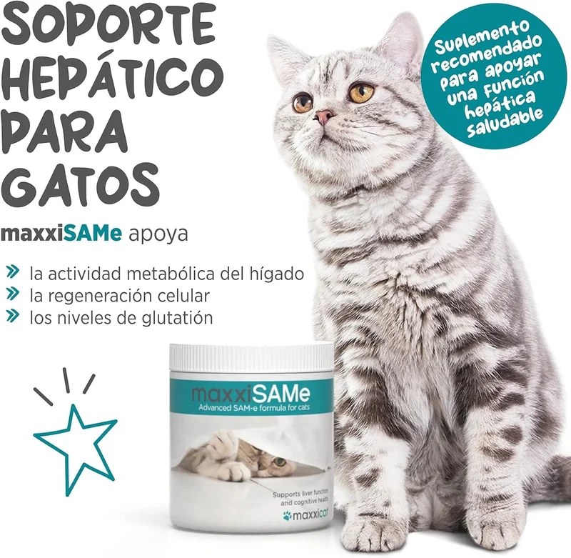 maxxisame Suplemento avançado para gatos – Ajuda ao fígado felino, articulações e saúde cognitiva – 90 g de pó
