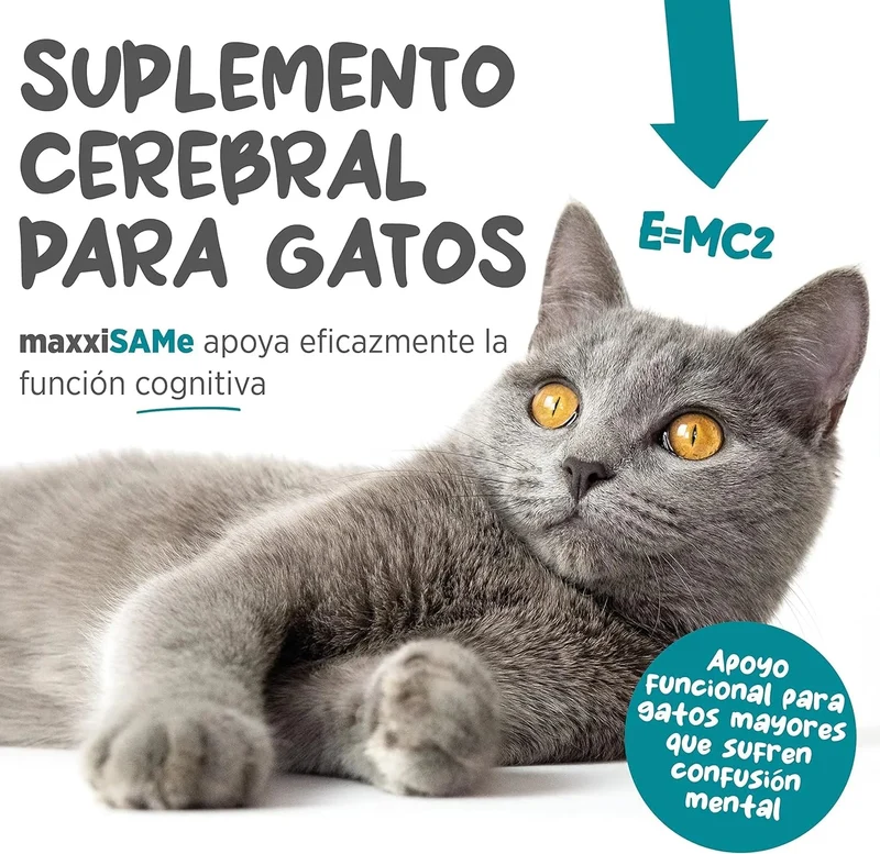 maxxisame Suplemento avançado para gatos – Ajuda ao fígado felino, articulações e saúde cognitiva – 90 g de pó