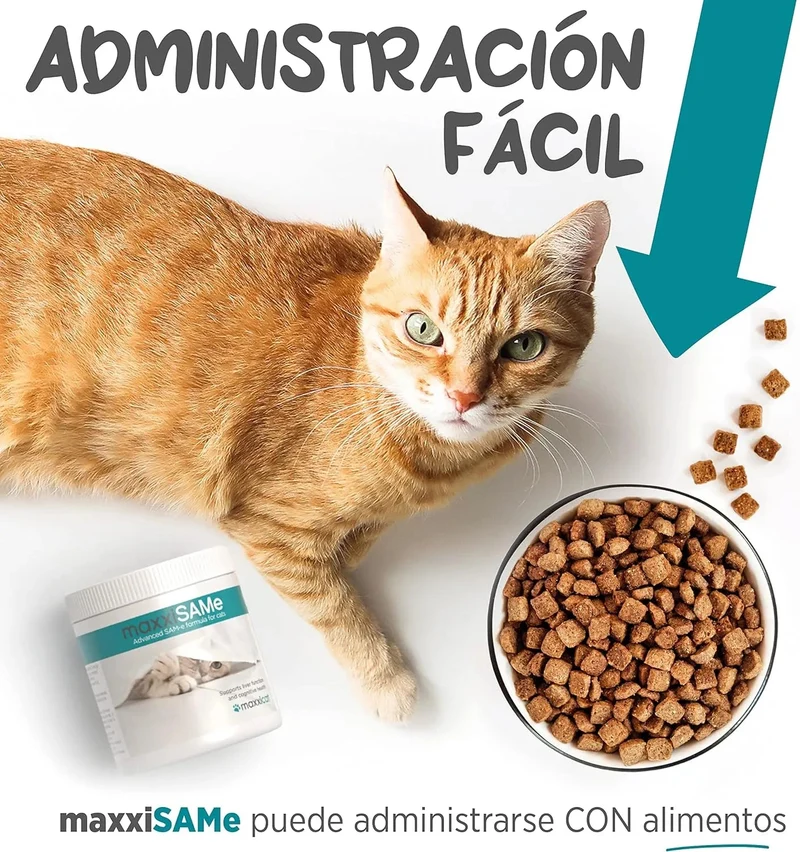 maxxisame Suplemento avançado para gatos – Ajuda ao fígado felino, articulações e saúde cognitiva – 90 g de pó