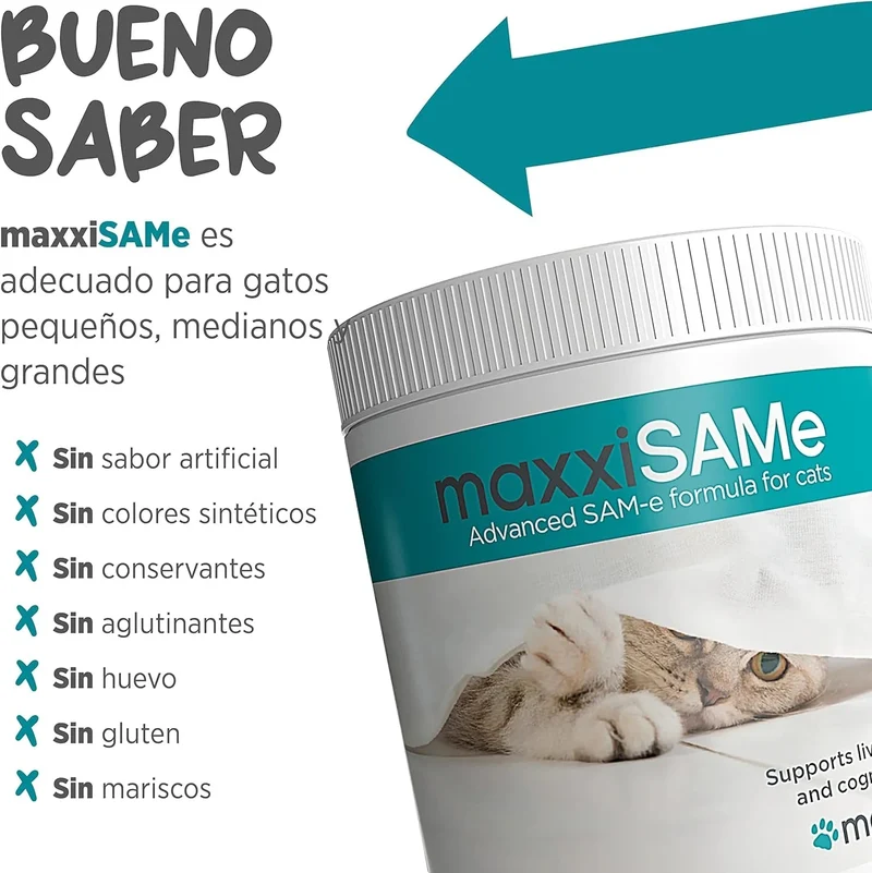 maxxisame Suplemento avançado para gatos – Ajuda ao fígado felino, articulações e saúde cognitiva – 90 g de pó