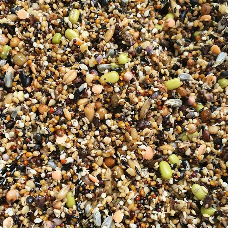 Kombipaket – Eggfood Deluxe 3 kg (Beutel) + Sprossensamen Super Mix 3 kg (Beutel)