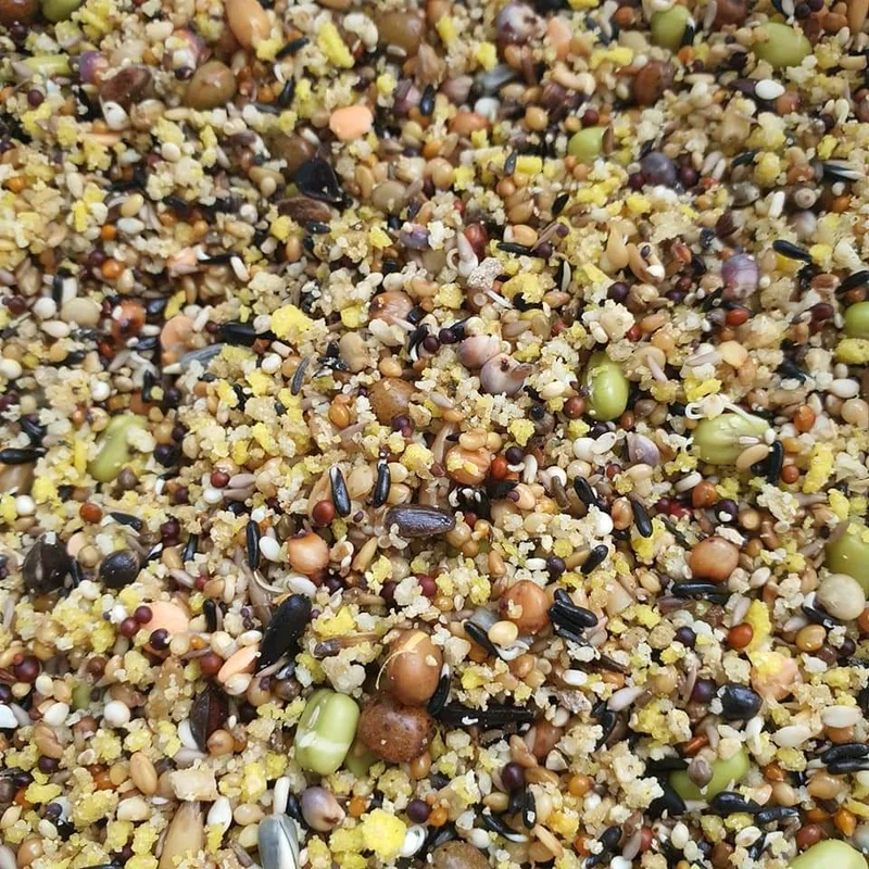 Kombipaket – Eggfood Deluxe 3 kg (Beutel) + Sprossensamen Super Mix 3 kg (Beutel)