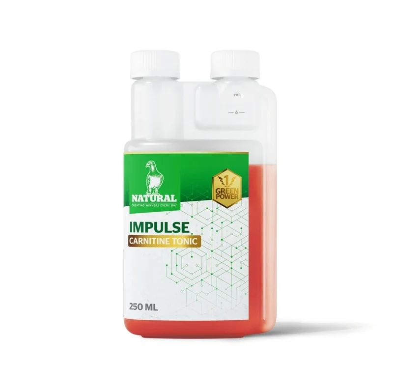Green Power, „Impulse Carnitine Tonic“ 250 ml, natürlich
