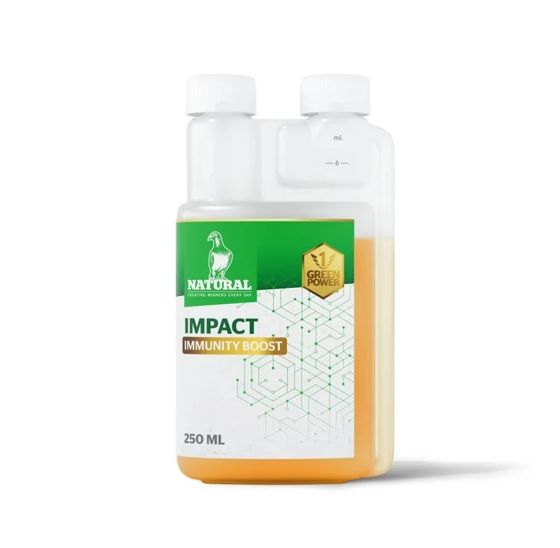 Green Power, Impact „Immunitätsbooster“ 250 ml, natürlich ♡