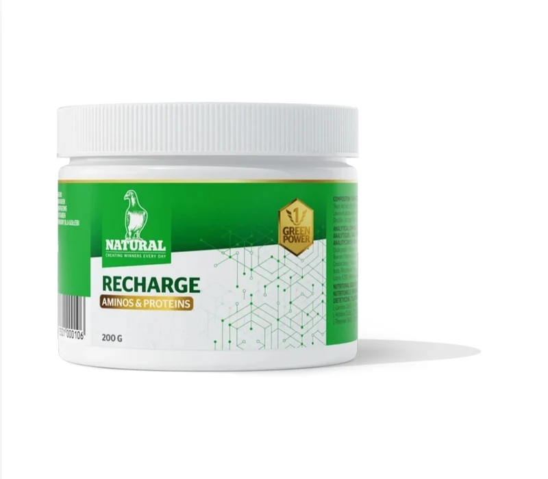 Green Power, Recharge "Aminos & Proteins" 200 Gramm, Natürlich