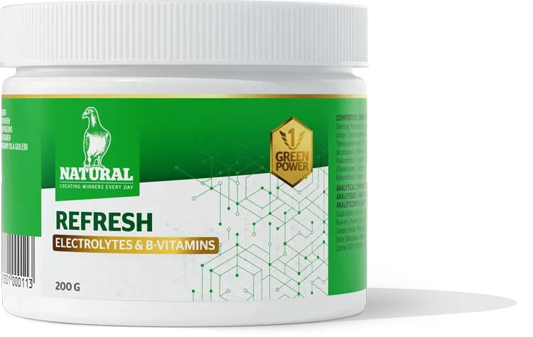 Green Power, Refresh "Elektrolyte & B-Vitamine" 200 Gramm, Natürlich