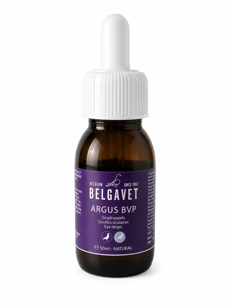 Argus BVP (Augentropfen, Membran) 50 ml - Belgavet
