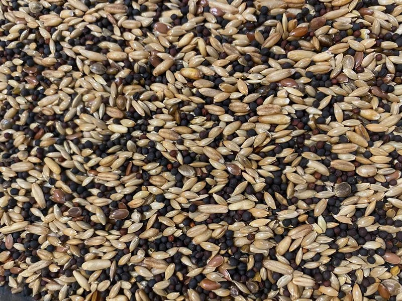 Canary Mix Bird-X 1 kg – Vogelfutterspender – Komplettmischung