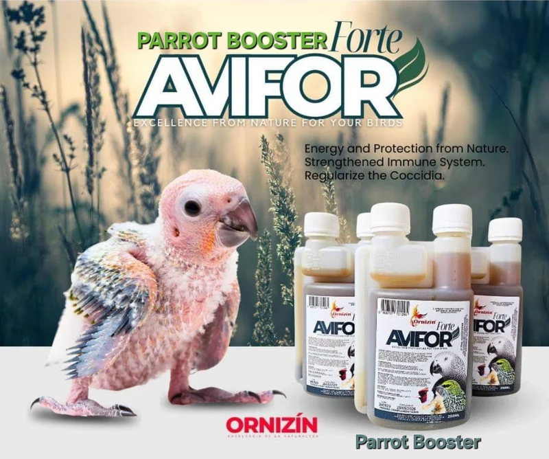 Papageien-Booster 250 ml - Avifor Forte - Ornizin