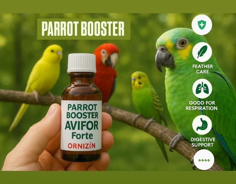 Papageien-Booster 250 ml - Avifor Forte - Ornizin