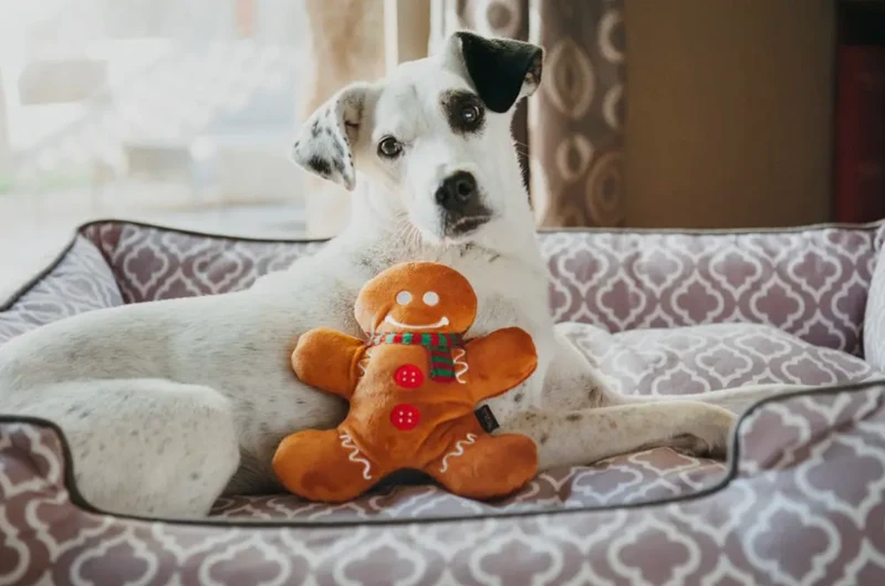 Hundespielzeug Lebkuchenmann