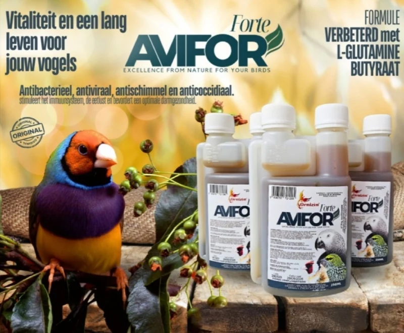 Avifor Forte 250 ml (Exoten – Gouldian Finch) Ornizìn