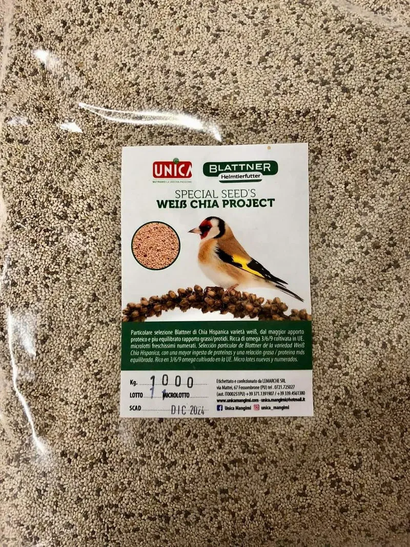 Spezialsamen Chia Weiß 1kg - Unica & Blattner