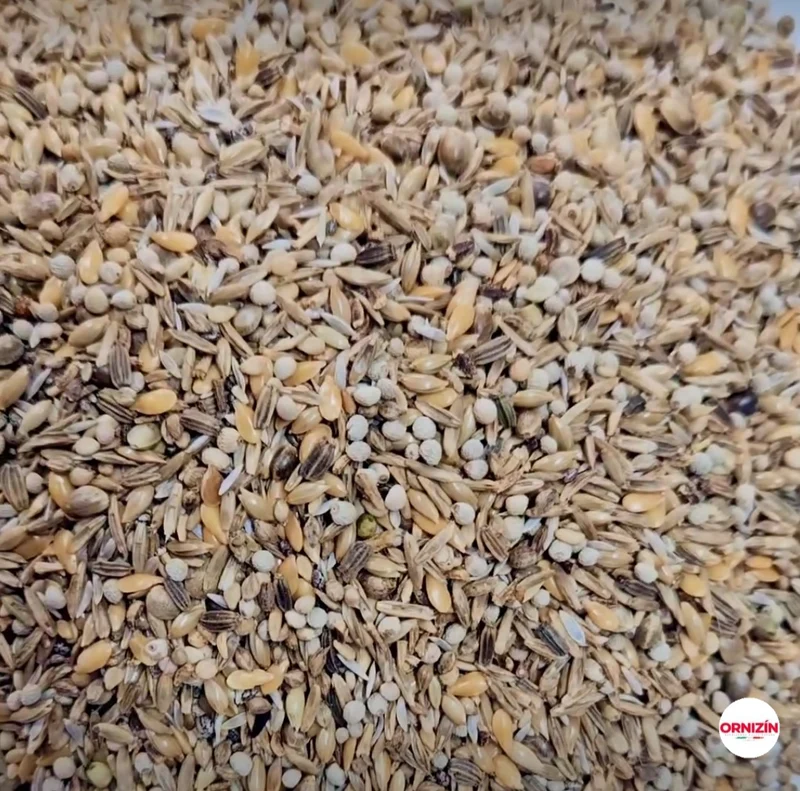 Excellent UNIKO Silvestres 1kg - Spezialsamen ( ¹ ) Stieglitze und Zeisige - Ornizin