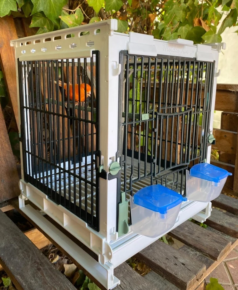 Kunststoff-Zuchtkäfig Grün - MA Cage - Moldes Ave