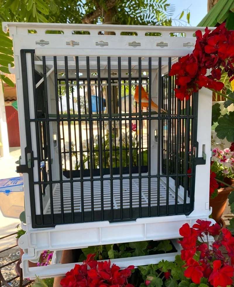 Kunststoff-Zuchtkäfig Grün - MA Cage - Moldes Ave