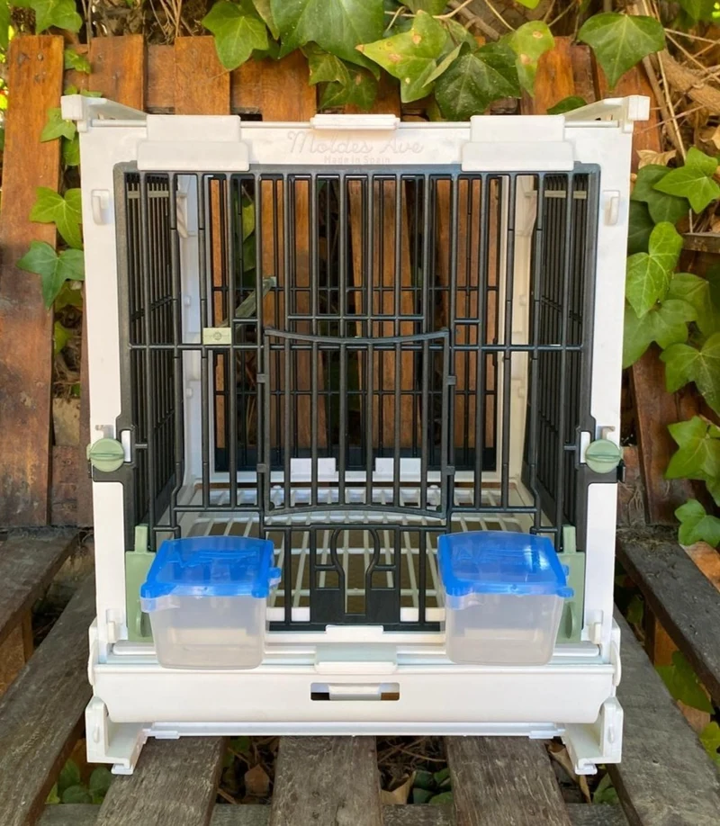 Kunststoff-Zuchtkäfig Grün - MA Cage - Moldes Ave