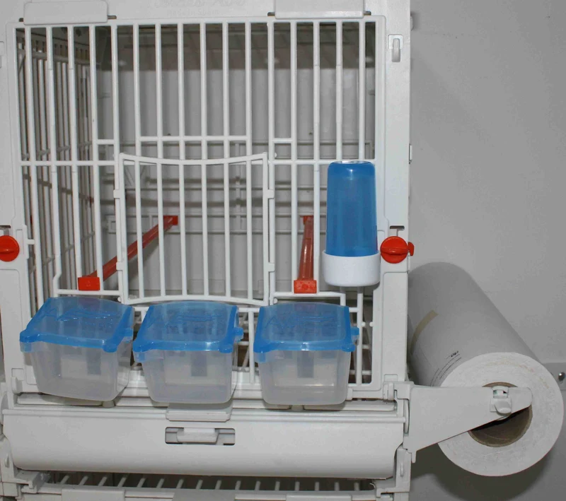 Weiße, feine, wasserfeste Papierrolle – 35 cm – 100 m – Moldes Ave